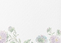 White paper textured background, flower border