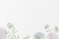 White paper textured background, flower border