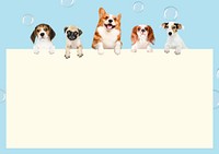 Cute puppies frame background