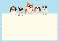 Cute puppies frame background