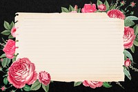 Pink rose frame, vintage botanical illustration