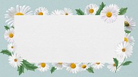 White daisy frame HD wallpaper, Spring flower design