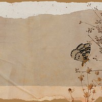 Vintage paper textured background, butterfly aesthetic border