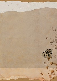 Vintage paper textured background, butterfly aesthetic border