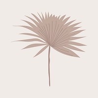 Fan palm leaf illustration aesthetic vector