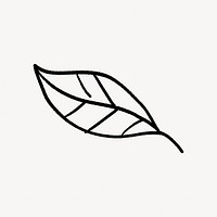 Leaf doodle collage element vector