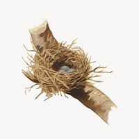Bird nest clip art vector. Free public domain CC0 image.