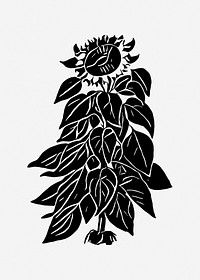 Sunflower illustration, clip art. Free public domain CC0 image.