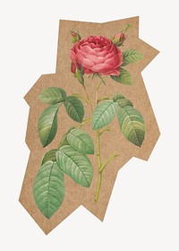 Vintage rose, cut out paper element. Artwork from Pierre Joseph Redouté remixed by rawpixel.