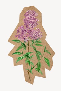 Vintage blooming lilac, cut out paper element. Artwork from Pierre Joseph Redouté remixed by rawpixel.