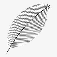 Leaf minimal illustration, isolated image
