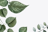 Leaf border beige background