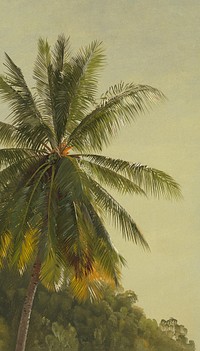 Palm tree iPhone wallpaper. Remixed by rawpixel.