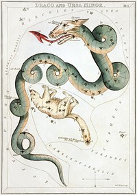 "Draco and Ursa Minor", plate 1 in Urania's Mirror, a set of celestial cards accompanied by A familiar treatise on astronomy ... by Jehoshaphat Aspin. Original public domain image from Wikimedia Commons. Digitally enhanced by rawpixel.