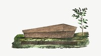 Wooden coffin, vintage illustration psd.  Remixed by rawpixel. 