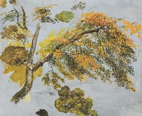 Tree Study (Autumn Foliage) (1828) nature illustration by John Linnell. Original public domain image from Yale Center for British Art. Digitally enhanced by rawpixel.