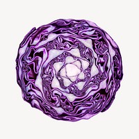Purple cabbage, cut in half
