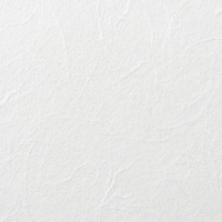 White cement textured background