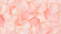 Pink rose petals flower background