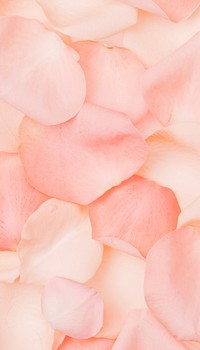 Pink rose petals mobile wallpaper, flower background