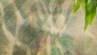 Botanical aesthetic shadow background