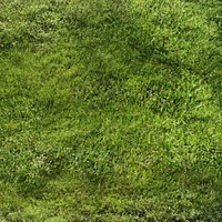 Green grass textured background, nature image