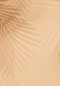 Tropical leaf shadow background