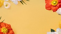 Orange Summer flower border background