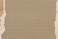 Brown grid background, ripped paper border design