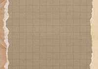 Brown grid patterned background, ripped paper border