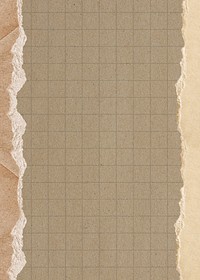 Brown grid patterned background, ripped paper border