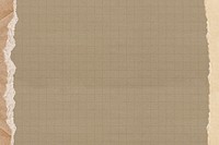 Brown grid patterned background, ripped paper border