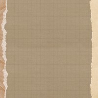 Brown grid patterned background, ripped paper border