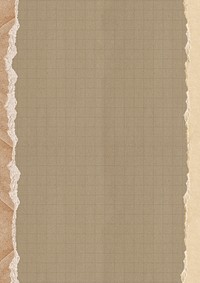 Brown grid patterned background, ripped paper border