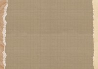 Brown grid patterned background, ripped paper border