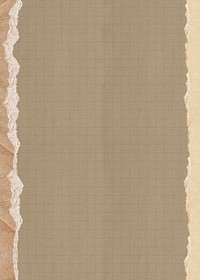 Brown grid patterned background, ripped paper border