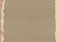 Brown grid patterned background, ripped paper border