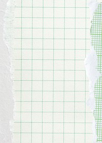 Pastel green grid background, ripped paper border