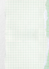 Pastel green grid background, ripped paper border