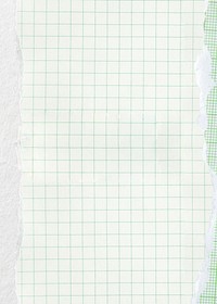 Pastel green grid background, ripped paper border