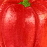 Red bell pepper background, vegetable illustration