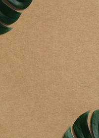 Brown craft paper texture background, monstera leaf border