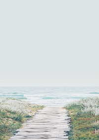 Beautiful beach background, wooden path through the grass