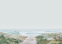 Beautiful beach background, wooden path through the grass