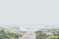 Beautiful beach background, wooden path through the grass