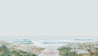 Beautiful beach background, wooden path through the grass