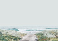 Beautiful beach background, wooden path through the grass