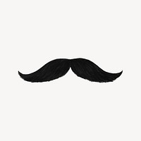 Mustache illustration