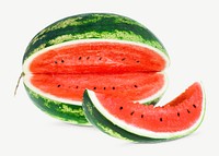 Fruity sweet watermelon slice psd