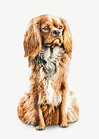 Cocker spaniel psd, isolated design